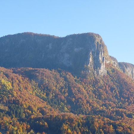 Apartmaji Pr'Pisk Bohinjska Bela Luaran gambar