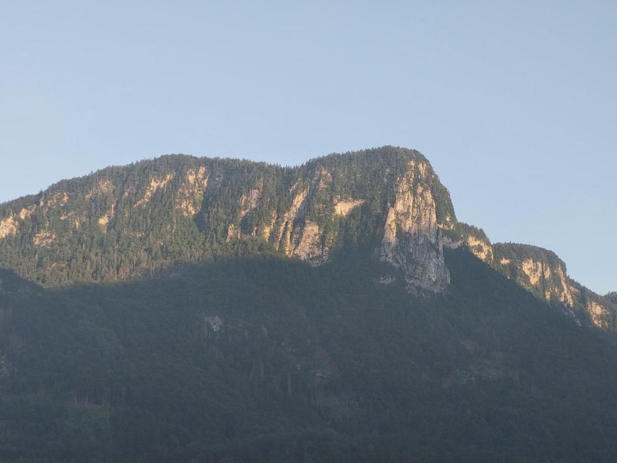 Apartmaji Pr'Pisk Bohinjska Bela Luaran gambar