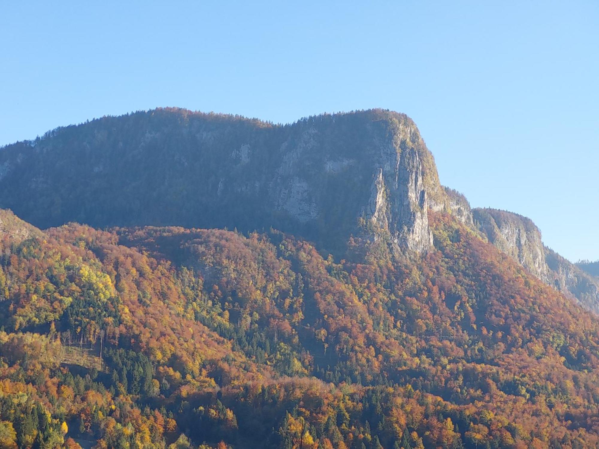 Apartmaji Pr'Pisk Bohinjska Bela Luaran gambar